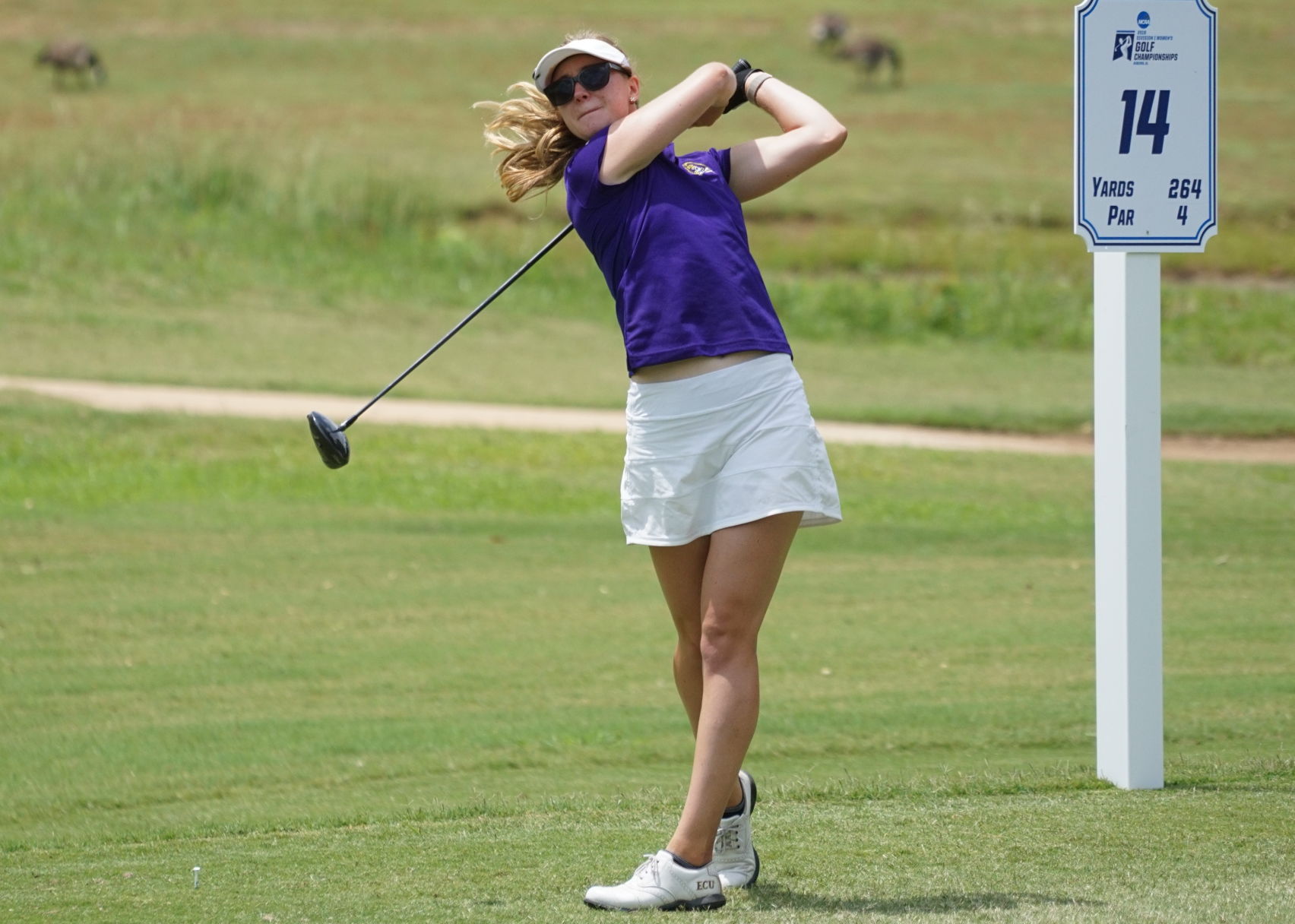 NCAA Regional - Round 3